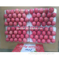 China Fuji Apple New Season